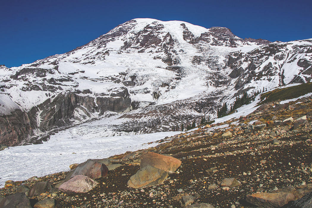 Photos: From Paradise in Mount Rainier National Park